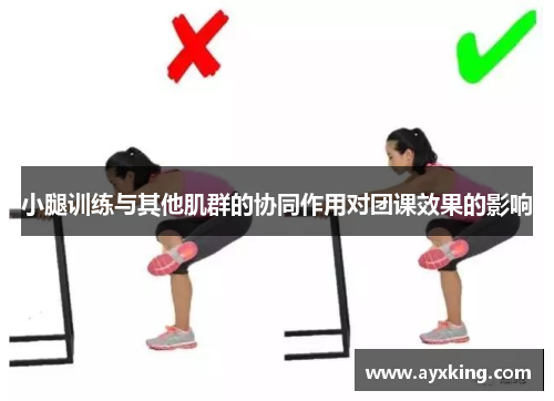 小腿训练与其他肌群的协同作用对团课效果的影响