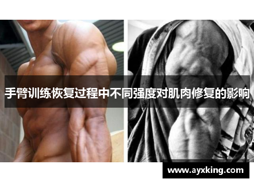 手臂训练恢复过程中不同强度对肌肉修复的影响